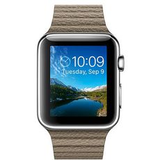 Apple Watch with Leather Loop (42 ) Stainless Steel/Light Brown