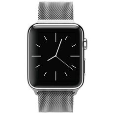 Apple Watch with Milanese Loop (42 ) Stainless Steel