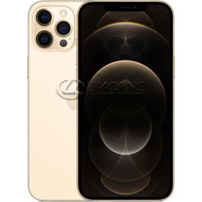 Apple iPhone 12 Pro Max 128Gb Gold (A2342, LL) - 