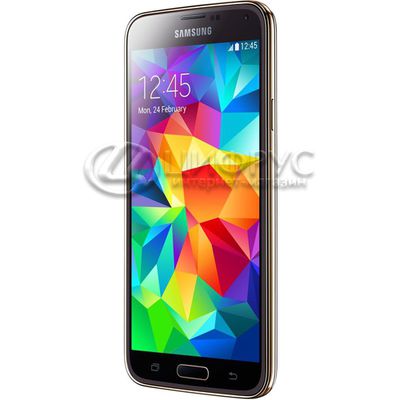 Samsung Galaxy S5 G900I 16Gb Gold - 