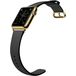 Apple Watch Edition with Classic Buckle (42 ) 18-Karat Yellow Gold/Black - 