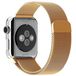      Apple Watch (42 mm) gold - 