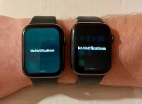 Apple  Apple Watch!
