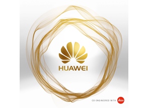 Huawei       .