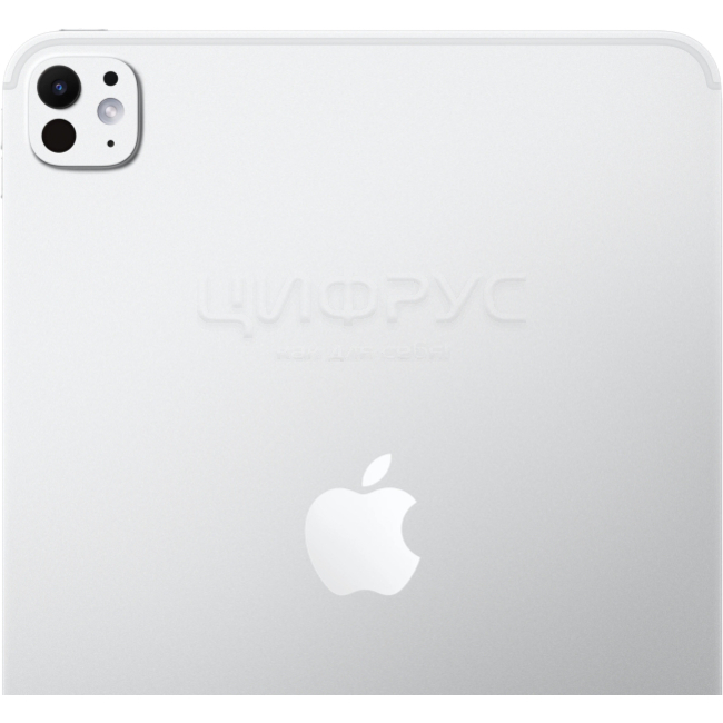 Купить Apple iPad Pro 11 (2025) 256Gb Wi-Fi Silver (Серебряный) в