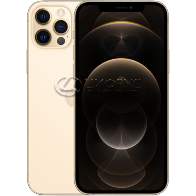Купить Apple iPhone 12 Pro 256Gb Gold (A2406, JP) в Москве – цена ...
