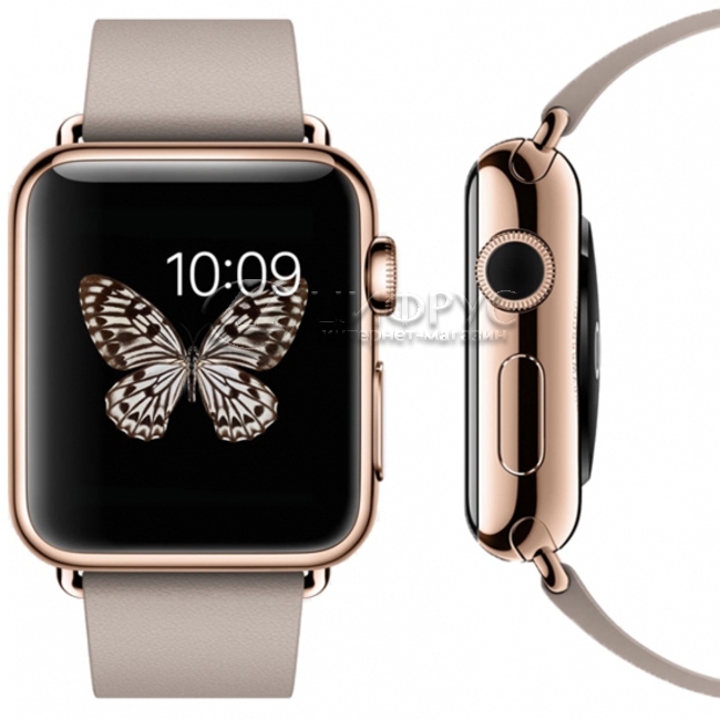 Caratteristiche apple watch edition on sale