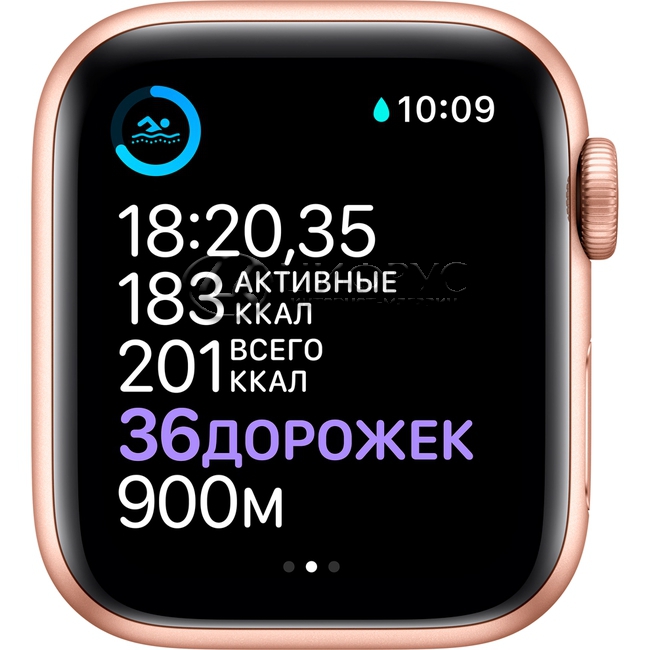 Купить Apple Watch Series 6 GPS 40mm Aluminum Case with Sport Band Gold ...
