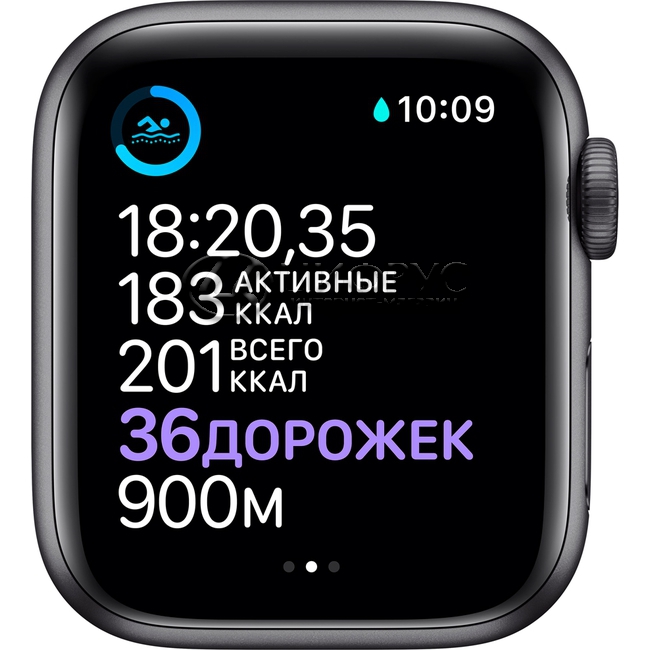 apple watch 6 bands 40mm
