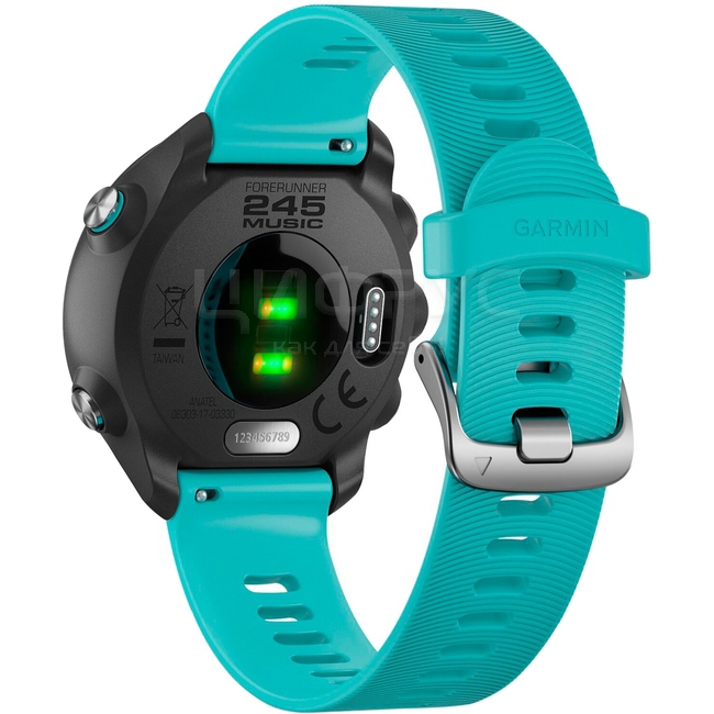 Garmin forerunner 245 music aqua top