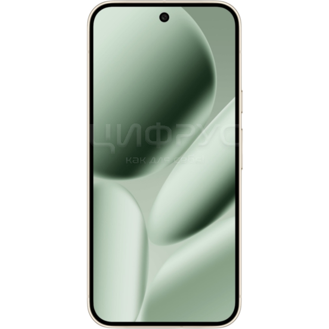 Купить Google Pixel 10 Pro XL 16/256Gb 5G Jade (Нефритовый