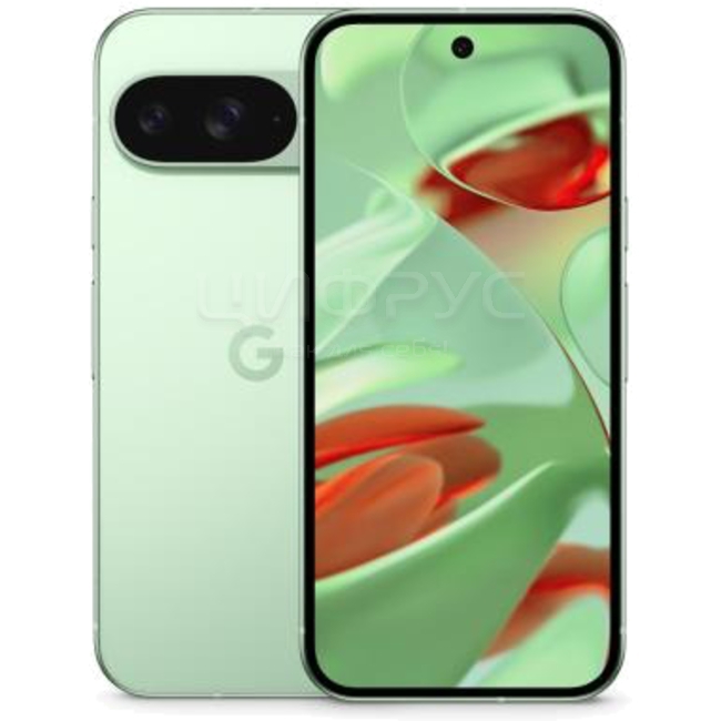 Купить Google Pixel 9 128Gb+12Gb 5G Wintergreen (Japan) в