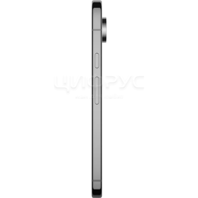 Купить Google Pixel 9 Pro XL 1024Gb+16Gb 5G Obsidian