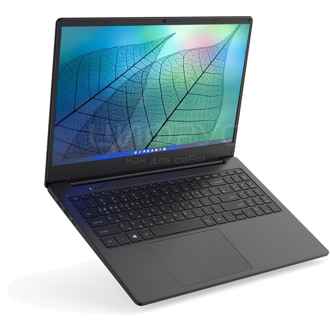 Купить HIPER Workbook N15RP (AMD Ryzen 5 3500U, 15.6", 1920x1080, 16GB ...