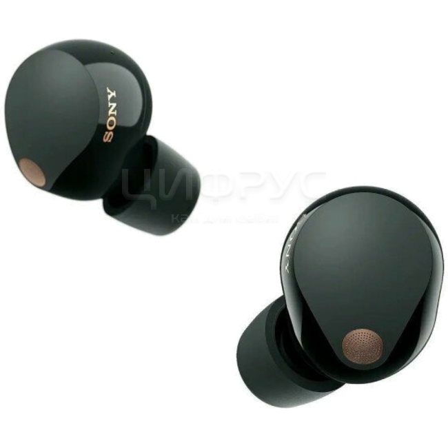 Wf sony best sale
