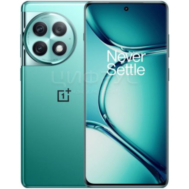 Купить Oneplus Ace 2 Pro 512Gb+16Gb Dual 5G Green в Москве – цена ...