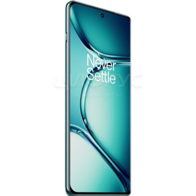 Купить Oneplus Ace 2 Pro 512Gb+16Gb Dual 5G Green в Москве – цена ...