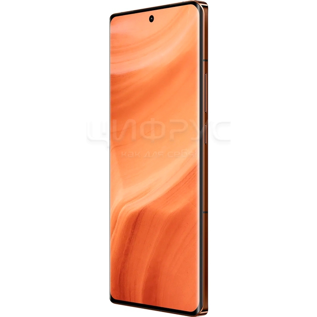 Купить Realme GT 5 Pro 12/256Gb Orange (Оранжевый) (Уценка) в