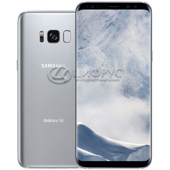 Купить Samsung Galaxy S8 Plus SM-G955F/DS 64Gb Silver (РСТ) в Москве ...