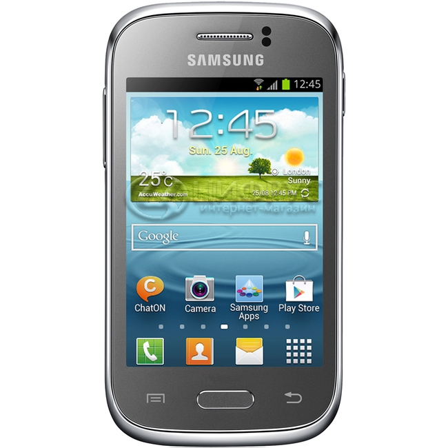 Купить Samsung Galaxy Young S6310 Silver Metallic в Москве – цена ...