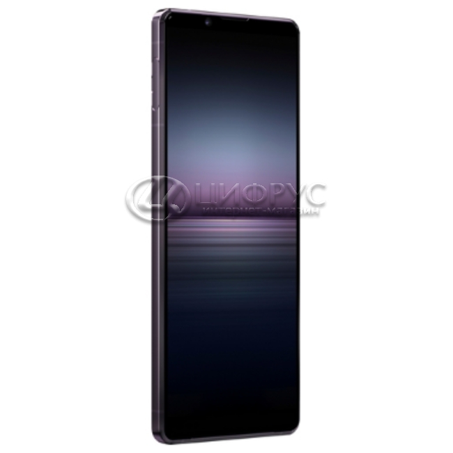 Купить Sony Xperia 1 II 256Gb+8Gb Dual 5G Purple в Москве – цена