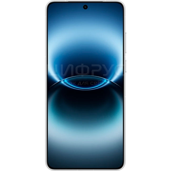 Купить Vivo X300 Ultra 16/512Gb Dual 5G Silver (Серебряный) в