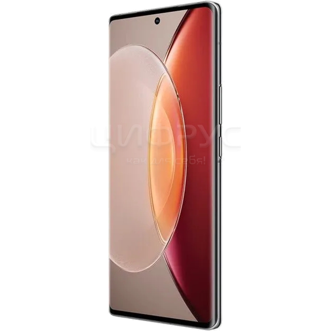 Купить Vivo X90 Pro Plus 512Gb+12Gb Dual 5G Red в Москве