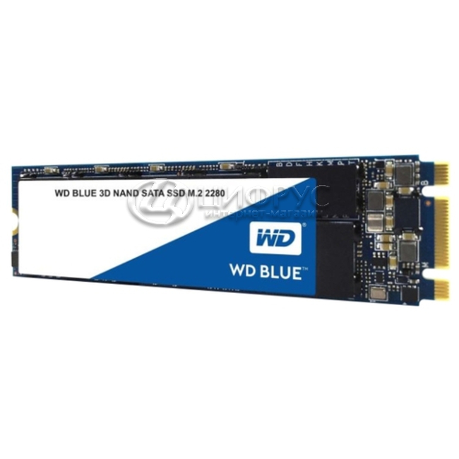 Купить Western Digital WD BLUE 3D NAND SATA SSD 250 GB (WDS250G2B0B) в ...