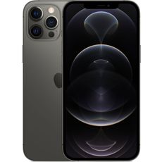 Apple iPhone 12 Pro Max 256Gb Grey (A2342, LL)
