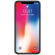 Apple iPhone X 256Gb Grey (EU)