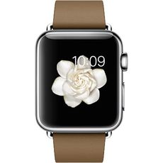 Apple Watch with Modern Buckle (38 мм) Stainless Steel/Brown