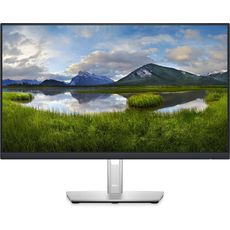 Dell P2422HE 23.8 Black (2422-5205) (EAC)