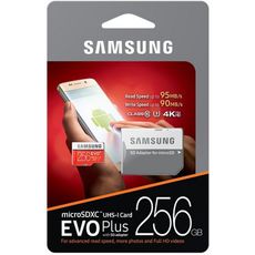   MicroSD 256gb