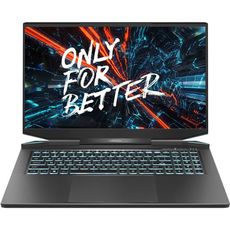 Maibenben X757 (AMD Ryzen 7 5800H 3200MHz, 17.3