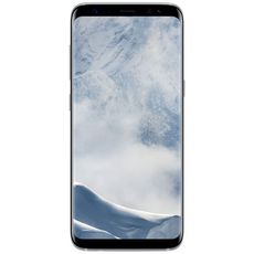 Samsung Galaxy S8 G950F/DS 64Gb Dual LTE Silver