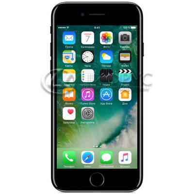 Apple iPhone 7 (A1778) 256Gb LTE Jet Black - Цифрус