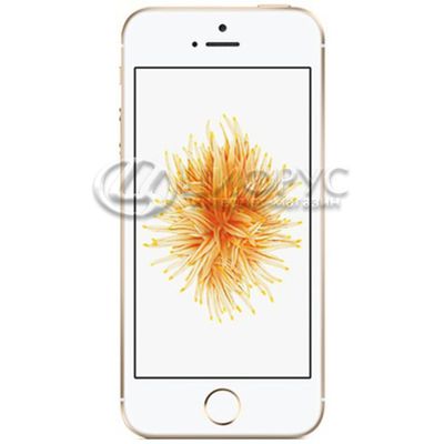 Apple iPhone SE (A1723) 128Gb LTE Gold - Цифрус