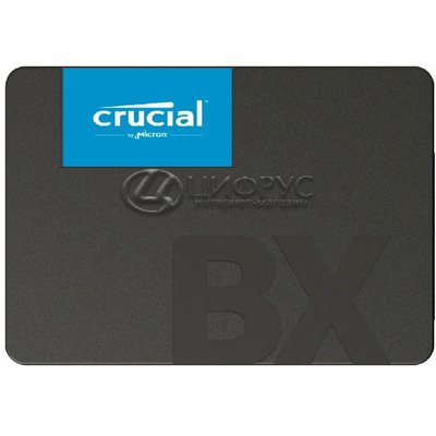 Crucial CT1000BX500SSD1 (РСТ) - Цифрус
