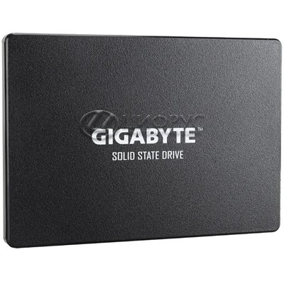 GIGABYTE SSD 256GB (GP-GSTFS31256GTND) - Цифрус