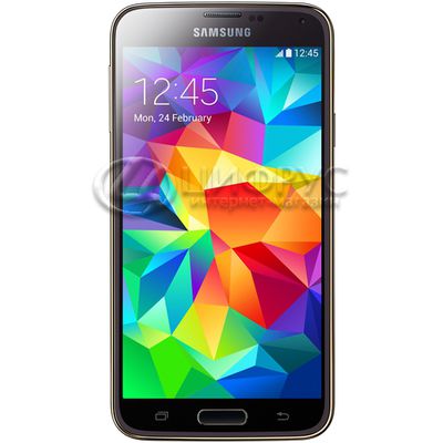 Samsung Galaxy S5 G900F 32Gb LTE Gold - 