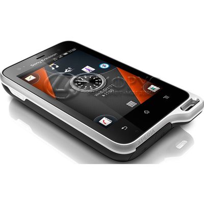 Sony Ericsson Xperia Active Black White - 