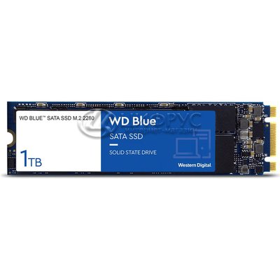 Western Digital WD Blue SATA 1000Gb M.2 WDS100T2B0B () - 