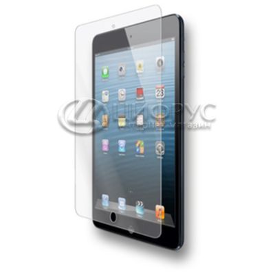    iPad Mini  - 