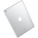 Apple iPad (2017) 128Gb Wi-Fi Silver - Цифрус
