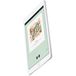 Apple iPad (2017) 128Gb Wi-Fi Silver - 