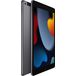 Apple iPad (2021) 256Gb Wi-Fi Grey (LL) - 