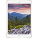 Apple iPad Mini_3 128Gb Wi-Fi + Cellular Gold - Цифрус