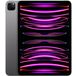 Apple iPad Pro 11 (2022) 2048Gb Wi Fi + Cellular Gray - 