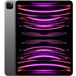 Apple iPad Pro 12.9 (2022) 1024Gb Wi-Fi Gray - 