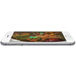 Apple iPhone 6S Plus (A1687) 32Gb LTE Silver - 